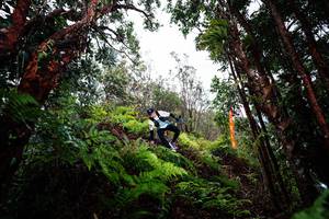 BIB: 
                            <button type="button" onclick="openModal(26203868)" class="btn btn-primary btn-sm float-right btn-popup" data-toggle="modal" data-target=".modal-high-quality">
                        <i class="fas fa-shopping-cart"></i> Add to Cart
                    </button>
                                            <button type="button" onclick="isThisMe(26203868, true)" class="btn btn-success btn-sm float-right btn-popup btn-isme hidden" data-toggle="tooltip" data-placement="bottom" title="นี่คือรูปของคุณใช่ไหม คลิกที่นี่เพื่อเอาเข้าอัลบั้ม">
                        <i class="fas fa-plus"></i> Add to album
                    </button>
                    <button type="button" onclick="isThisMe(26203868, false)" class="btn btn-warning btn-sm float-right btn-popup btn-isnotme hidden">
                        <i class="fas fa-ban"></i> Remove from album
                    </button>